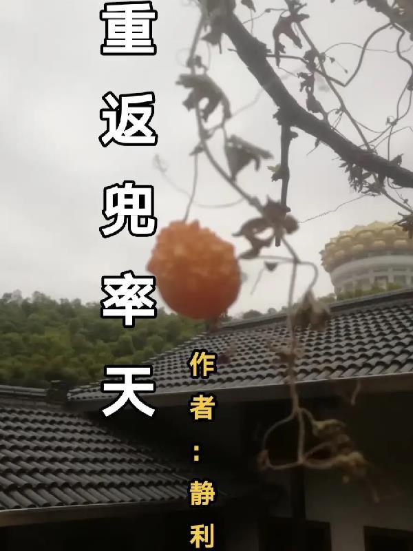 荣宠手札(清)